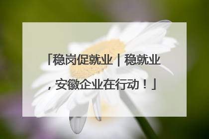 稳岗促就业｜稳就业，安徽企业在行动！